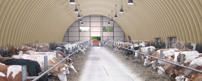 Как построить мини ферму КРС: проектирование, технология производства молока