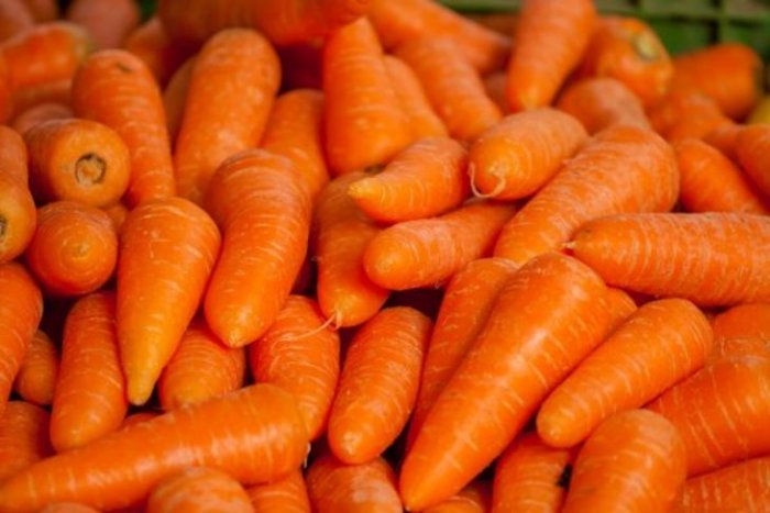 Хранение моркови в овощехранилище