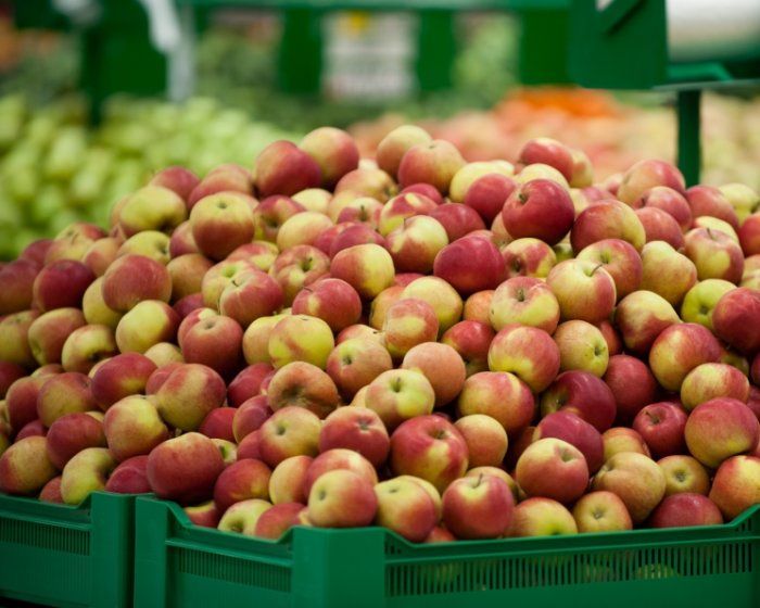 Основы автоматизации фруктохранилищ